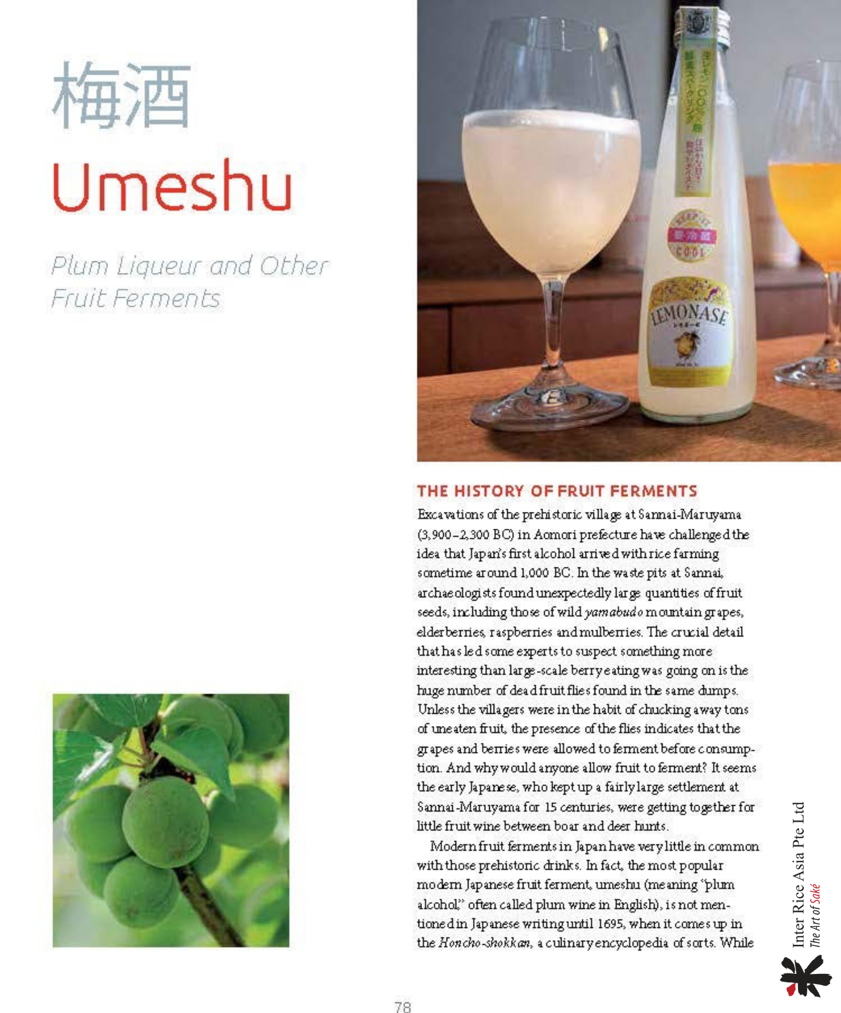 The Complete Guide to Japanese Drinks