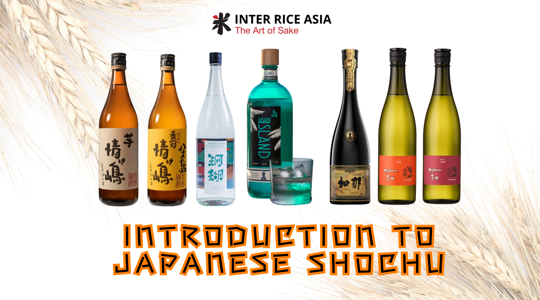 Introduction to Japanese Shochu