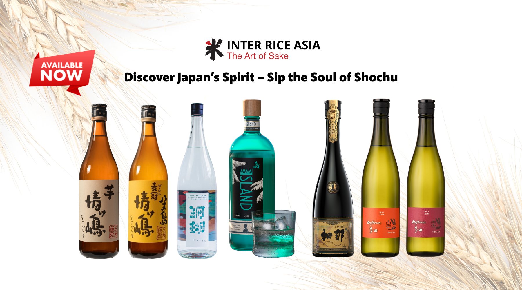 shochu collection home page web banner
